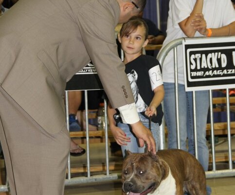 micro bully for sale